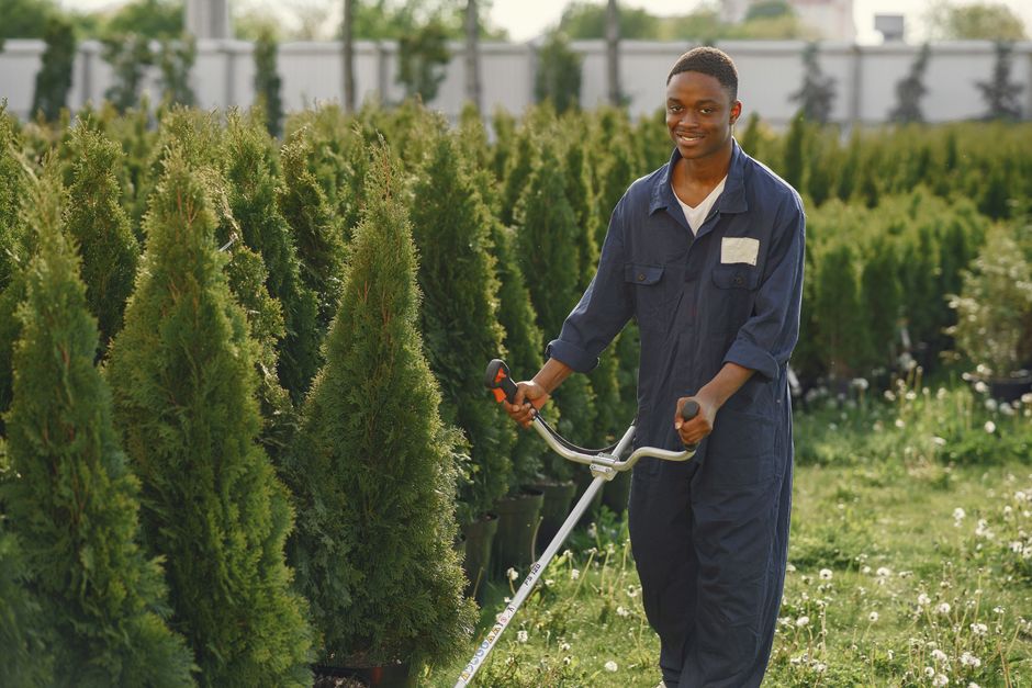 A joyful gardener wears a jumpsuit while trimming greenery in a tree nursery.